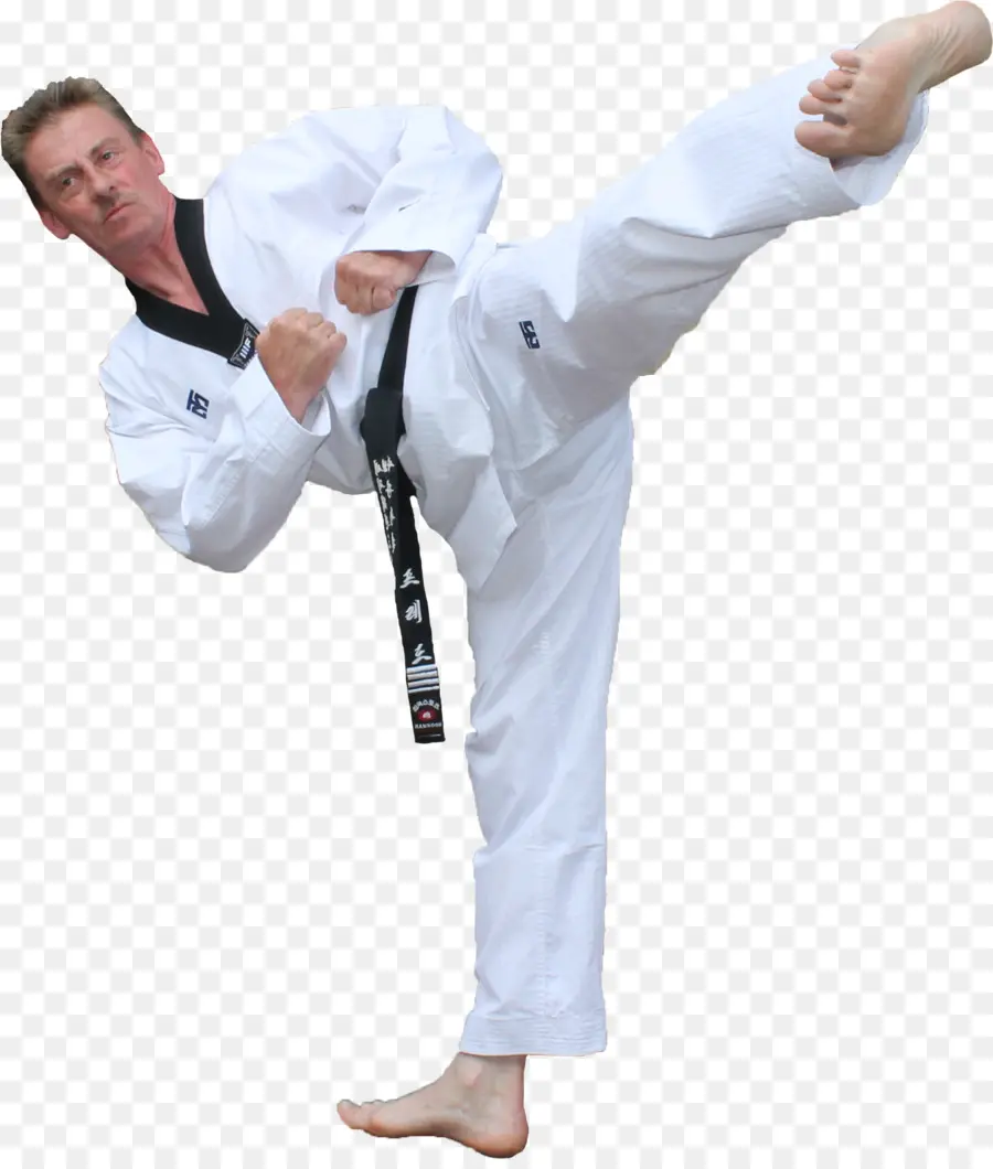 Dövüş Sanatçısı，Karate PNG