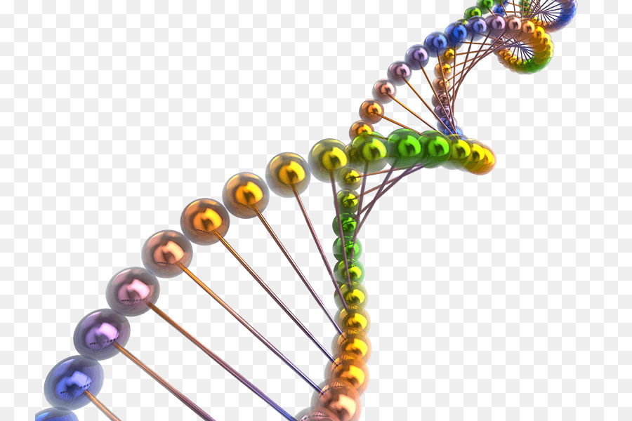 Renkli Dna Sarmalı，Renkli PNG