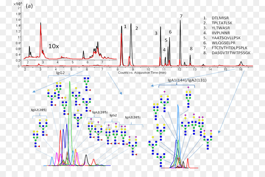 Glikan，Glyomics PNG