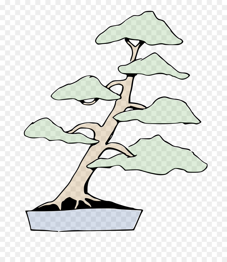 Bonsai Ağacı，Ağaç PNG