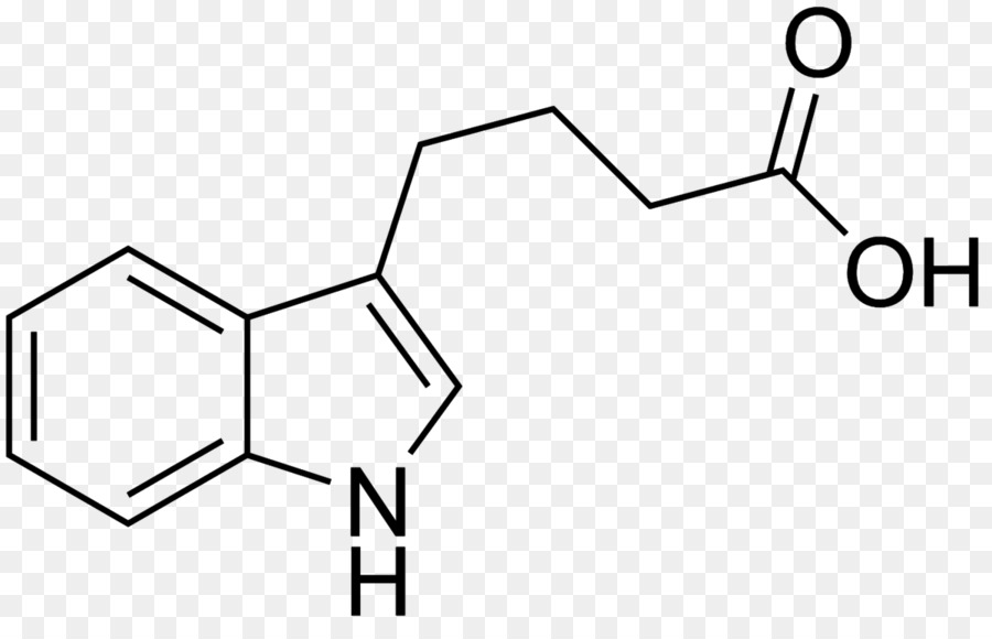 Indole3acetic Asit，Indole3butyric Asit PNG
