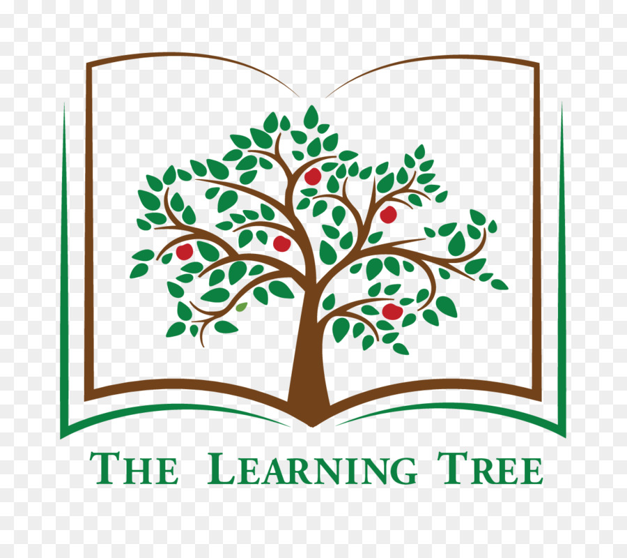 öğrenme Ağacı Anaokulu，Ağaç PNG