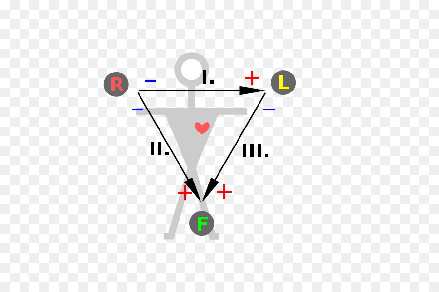 Einthoven üçgeni，Elektrokardiyografi PNG