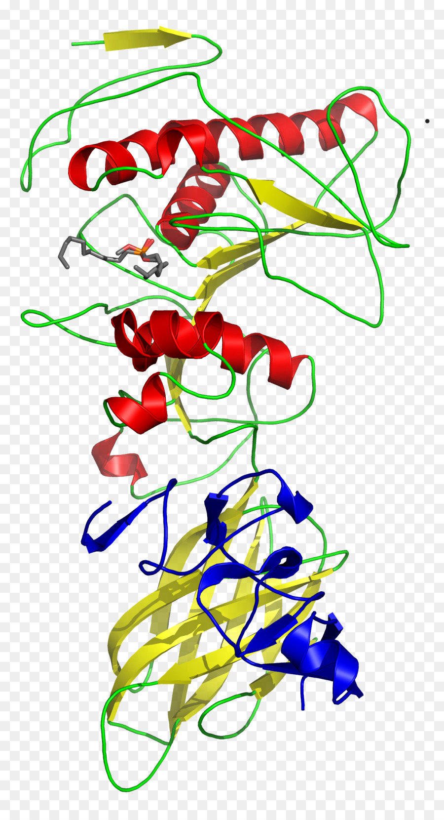 Protein Yapısı，Molekül PNG