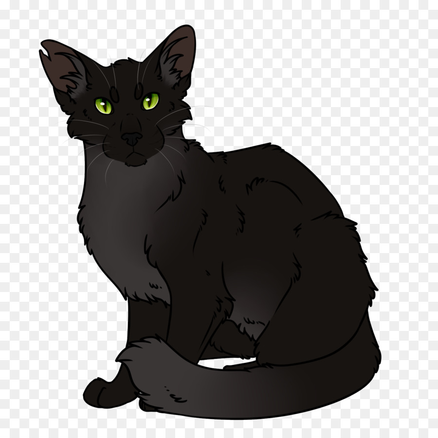 Kara Kedi，Evcil Hayvan PNG