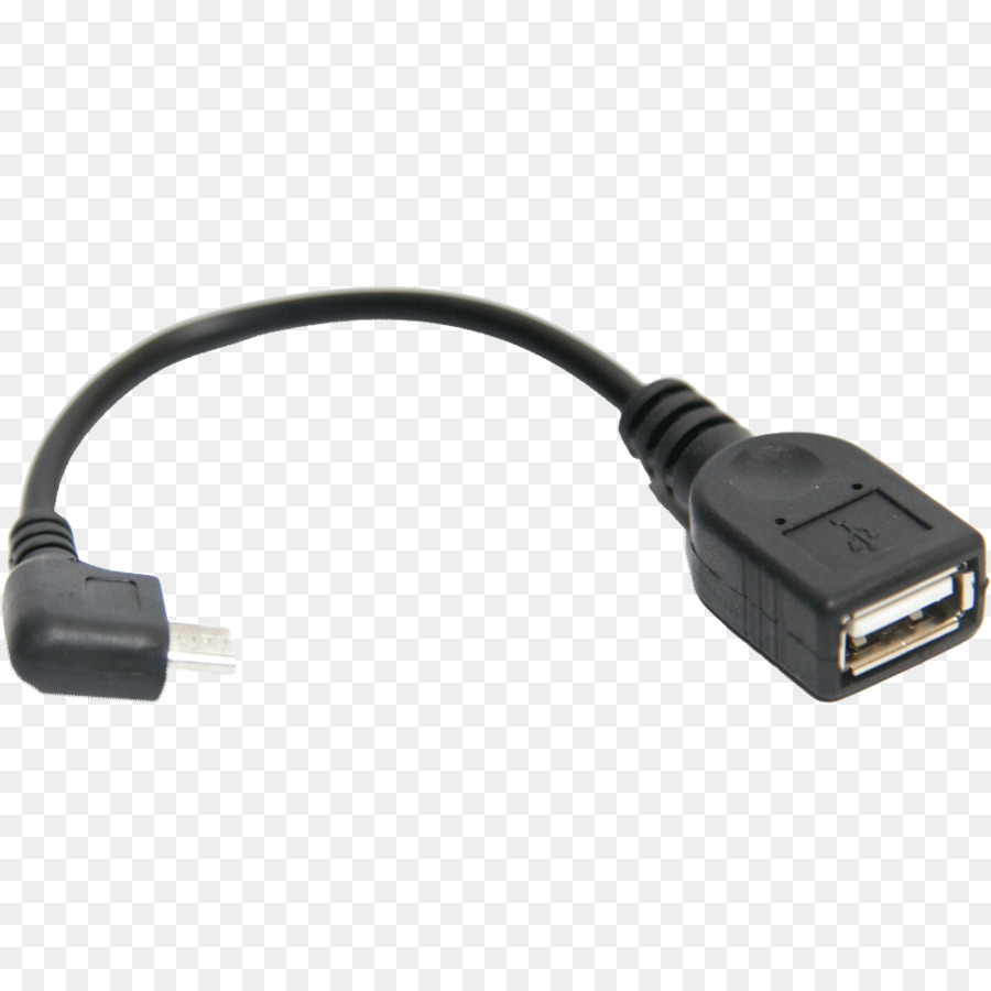 Adaptör，Karınca PNG