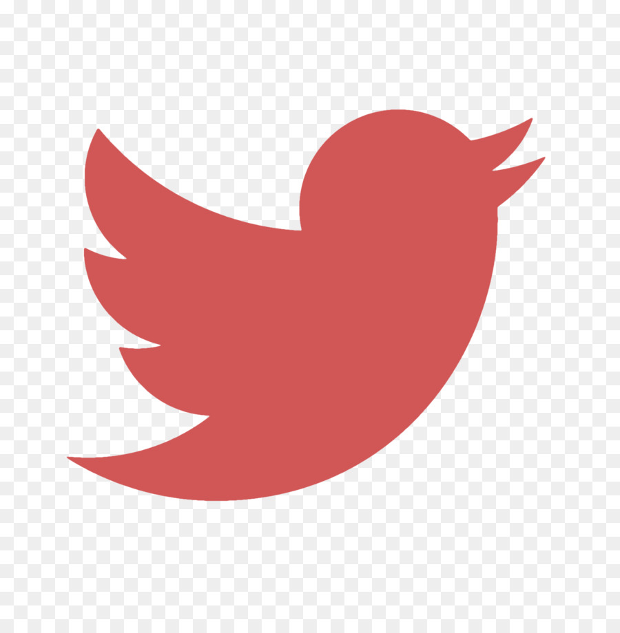 Sosyal Medya，Kuş PNG