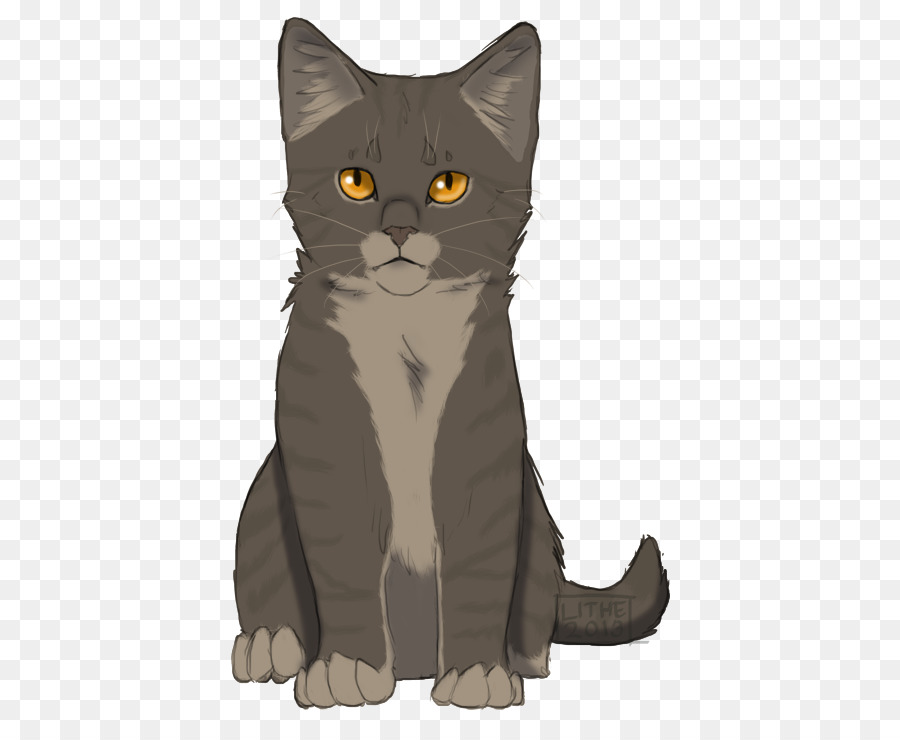 Kedi，Kun PNG