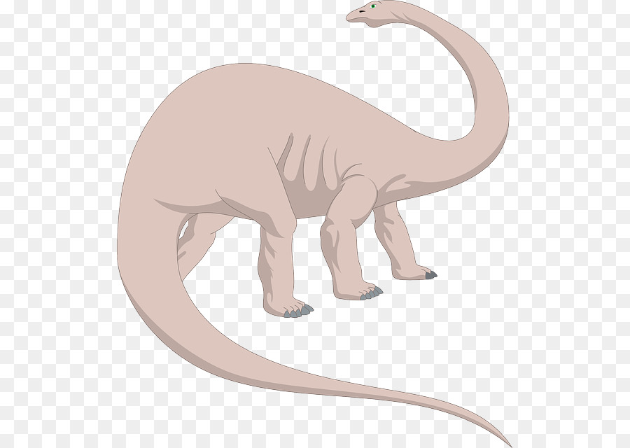 Brachiosaurus，Brontozor PNG
