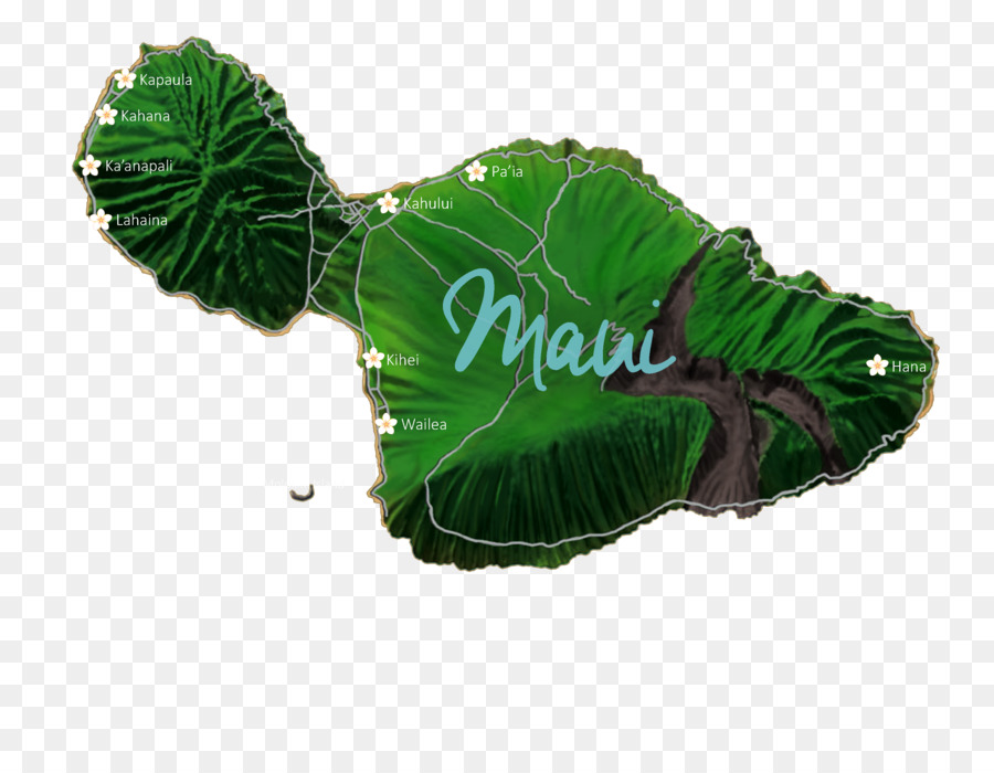 Maui，Hawaii PNG