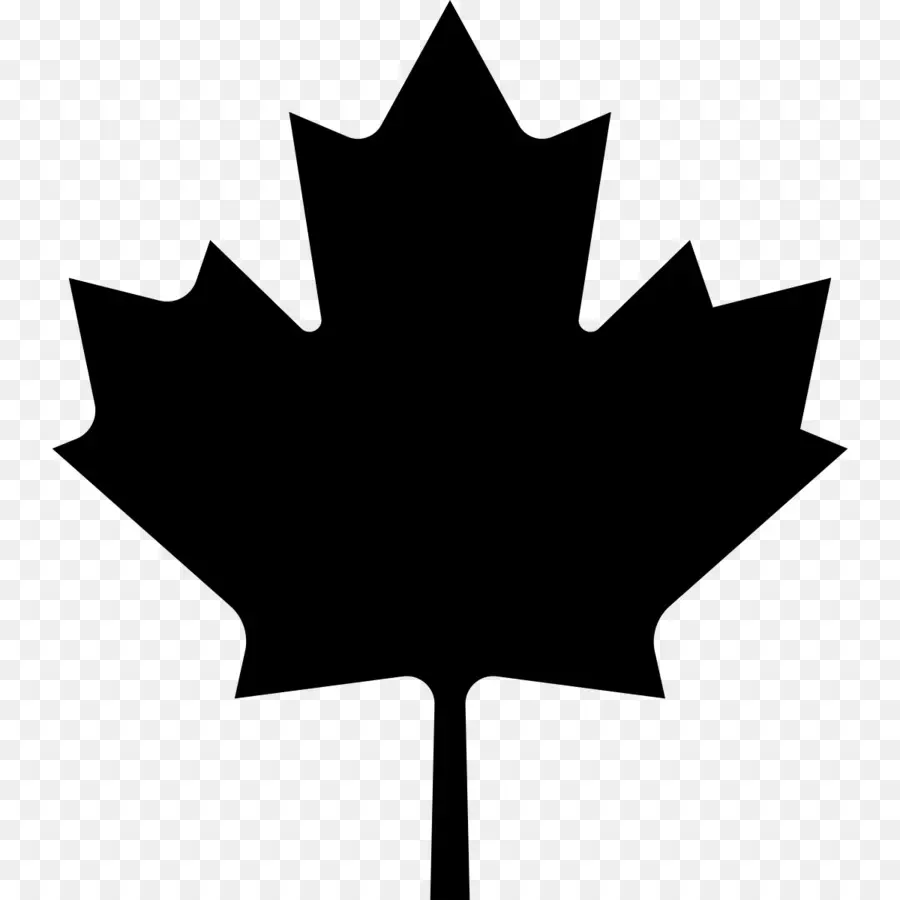 Kanada，Akçaağaç Yaprağı PNG