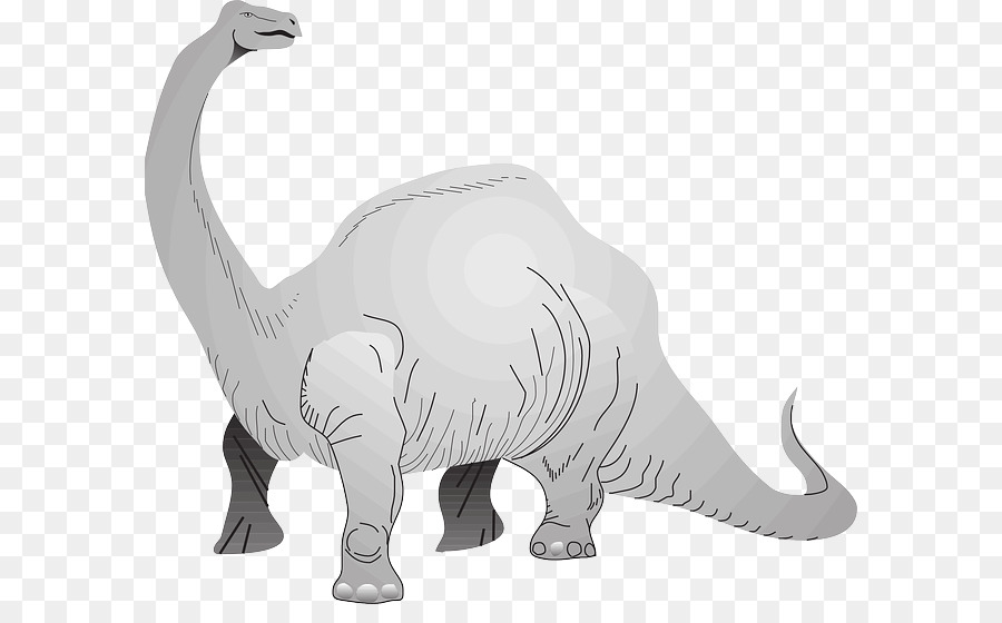 Brachiosaurus，Stegosaurus PNG