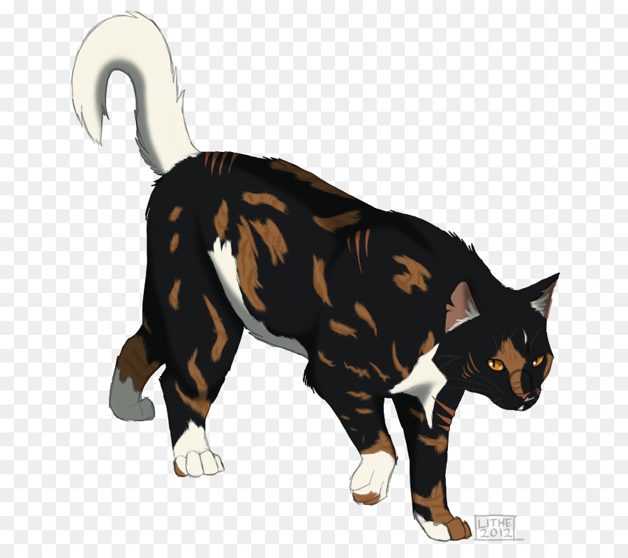 Kedi，Evcil Hayvan PNG