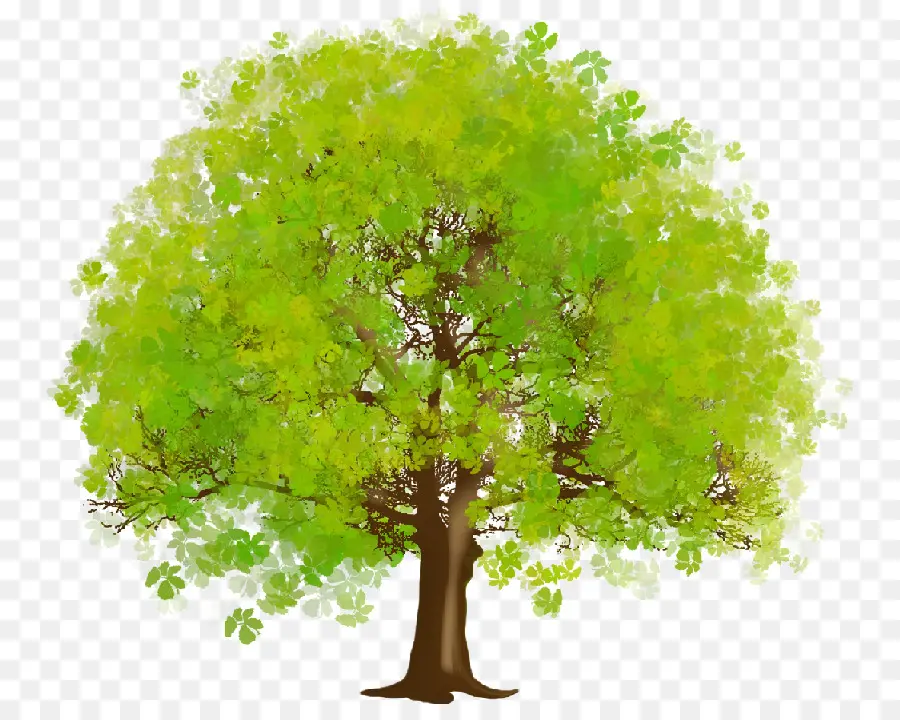 Ağaç，Masaüstü Duvar Kağıdı PNG