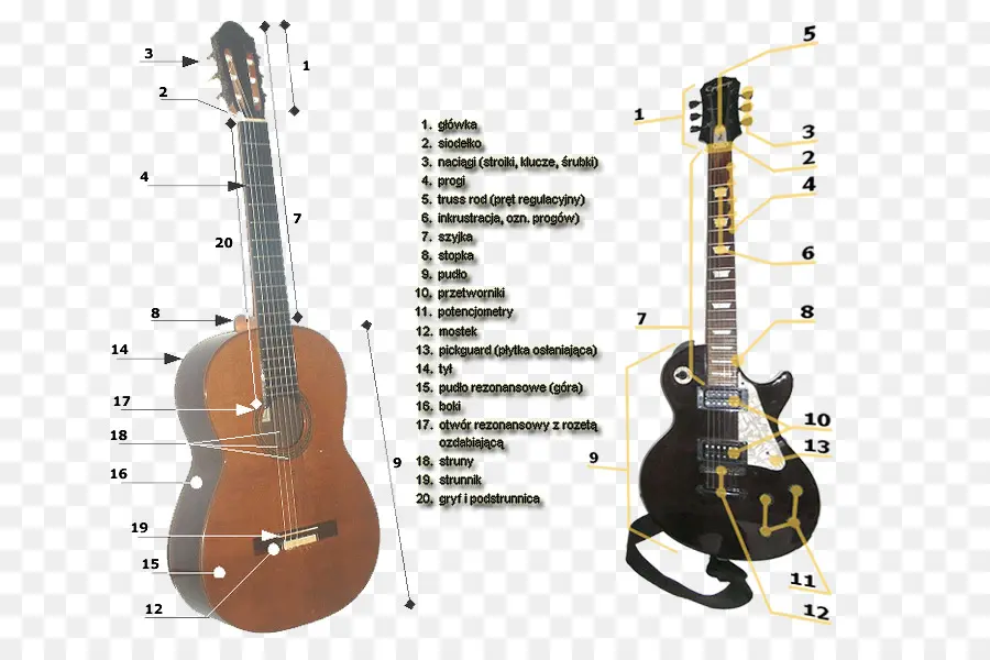 Gitar Diyagramı，Gitar PNG