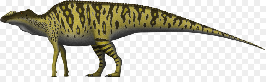 Dinozor，Sürüngen PNG