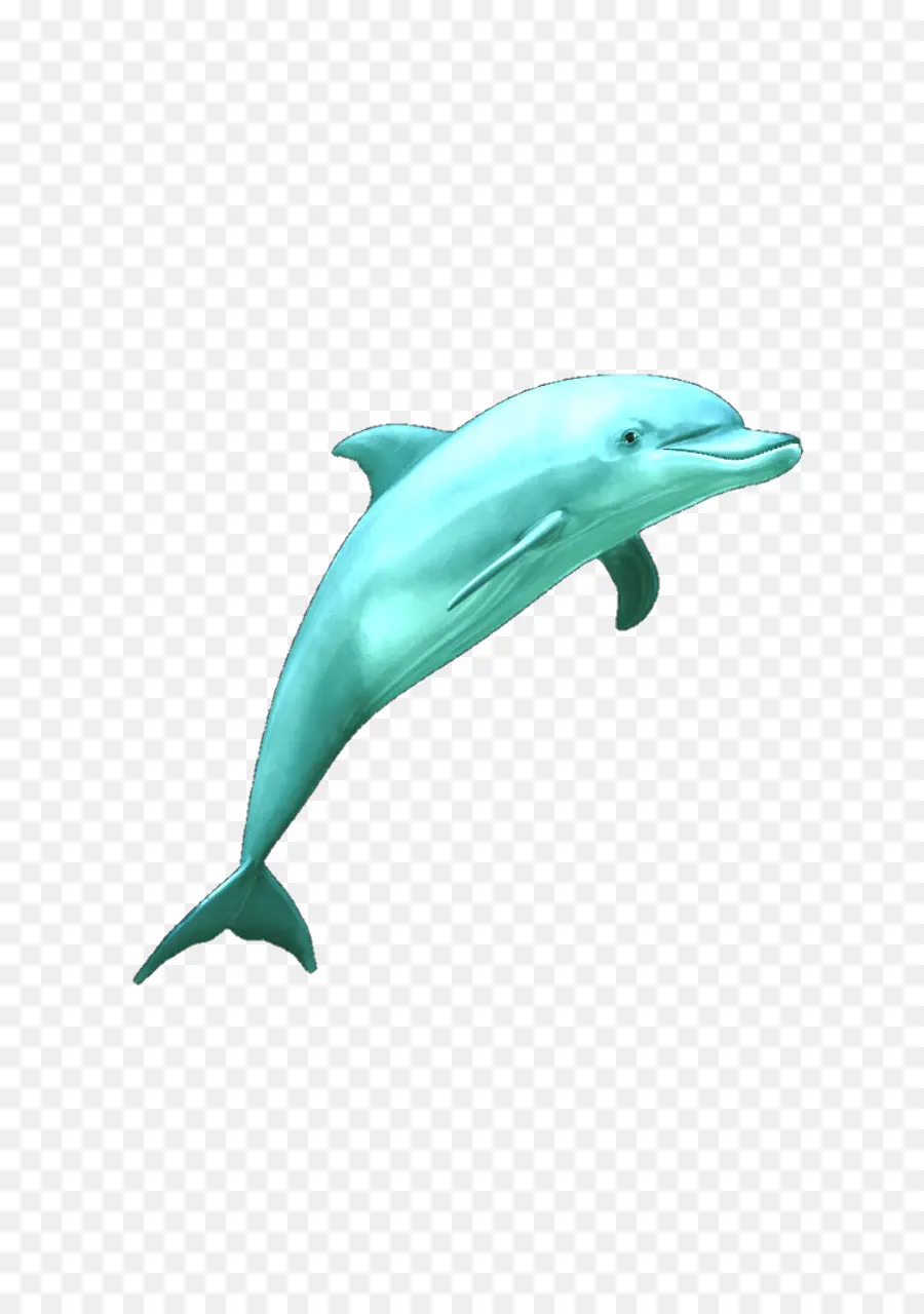 Ortak şişe Burunlu Yunus，Wholphin PNG