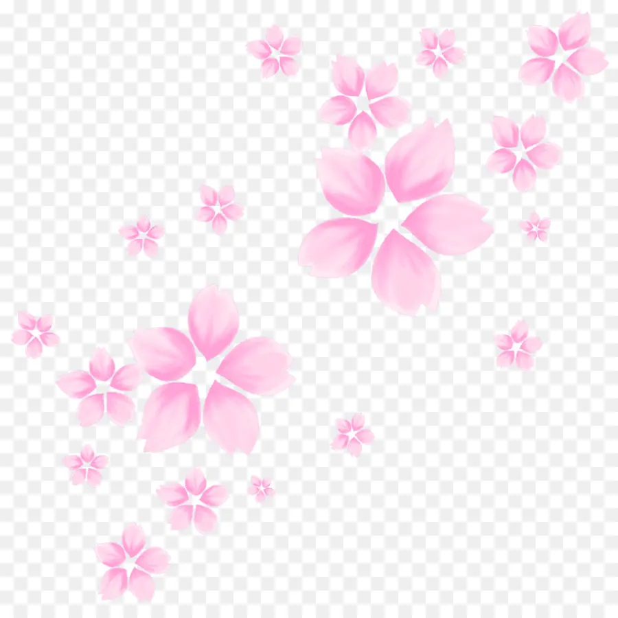 Taç Yaprağı，çiçek Tasarımı PNG