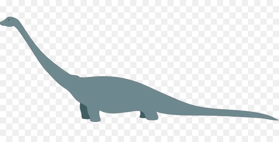 Dinozor，Tyrannosaurus PNG
