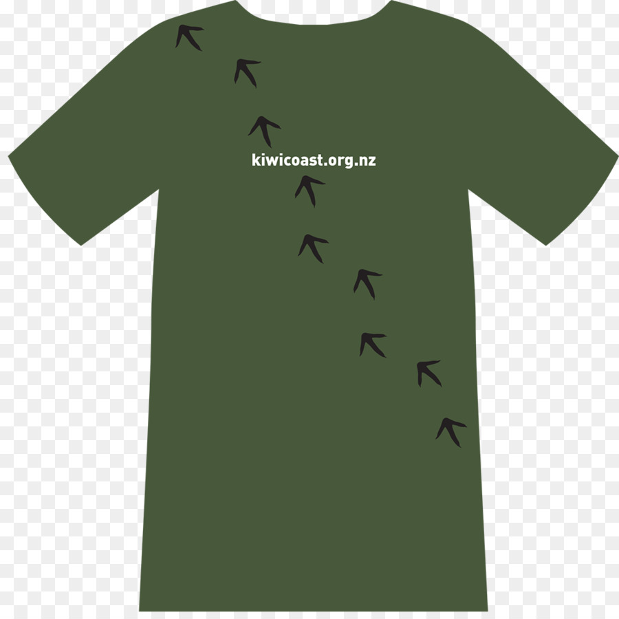 Tshirt，Gömlek PNG