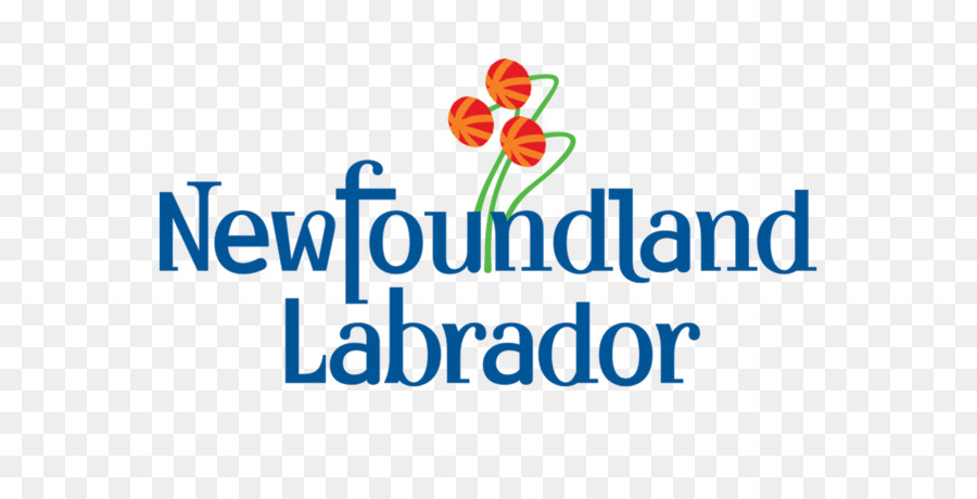Newfoundland Ve Labrador，Newfoundland Ve Labrador Hükümeti PNG