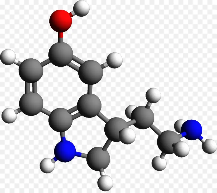 Serotonin，Nörotransmitter PNG
