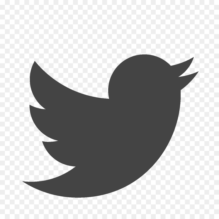 Twitter Logosu，Kuş PNG