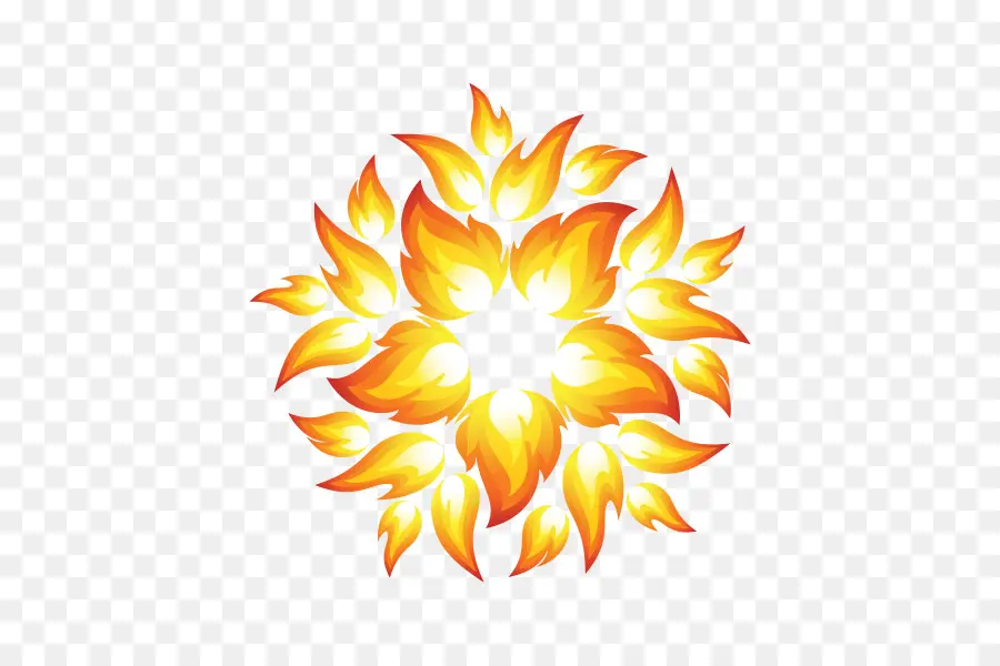 Ateş，çiçek PNG