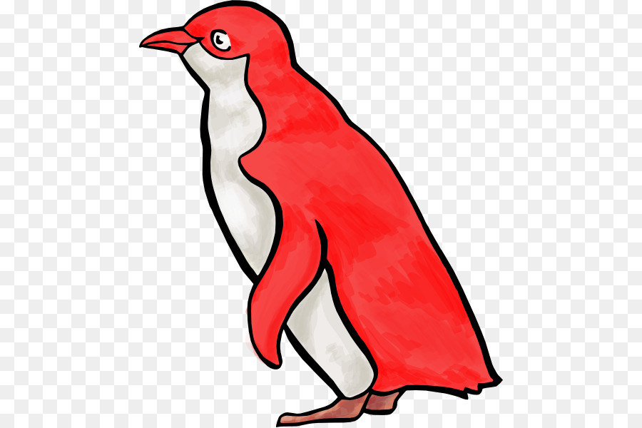 Penguen，Kuş PNG