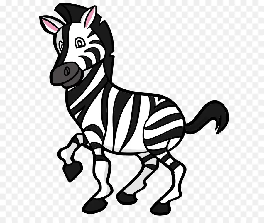 Zebra，Sevimlilik PNG