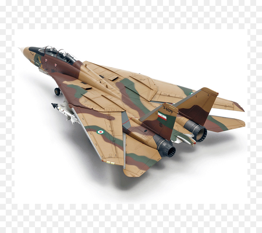 Grumman F14 Tomcat，Uçak PNG