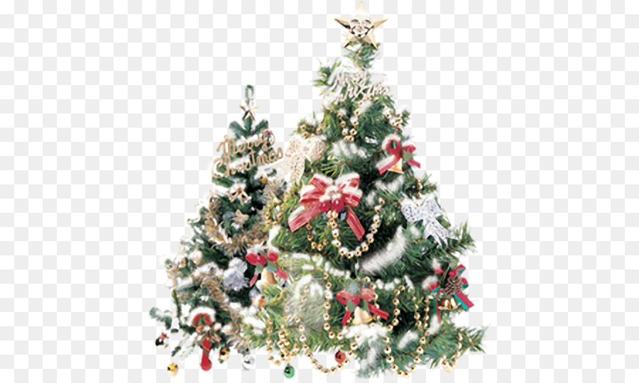 Noel Ağacı，Resim Çerçeveleri PNG