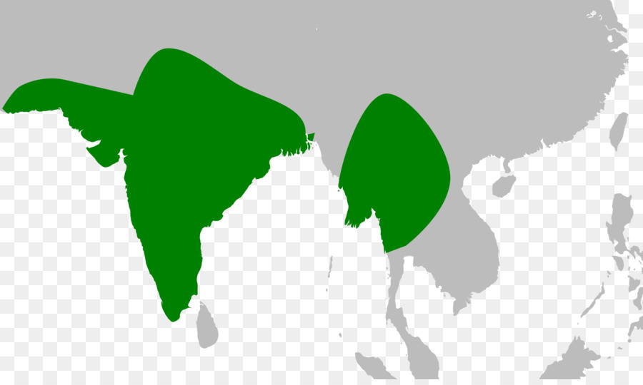 Hindistan，Hint Akbaba PNG