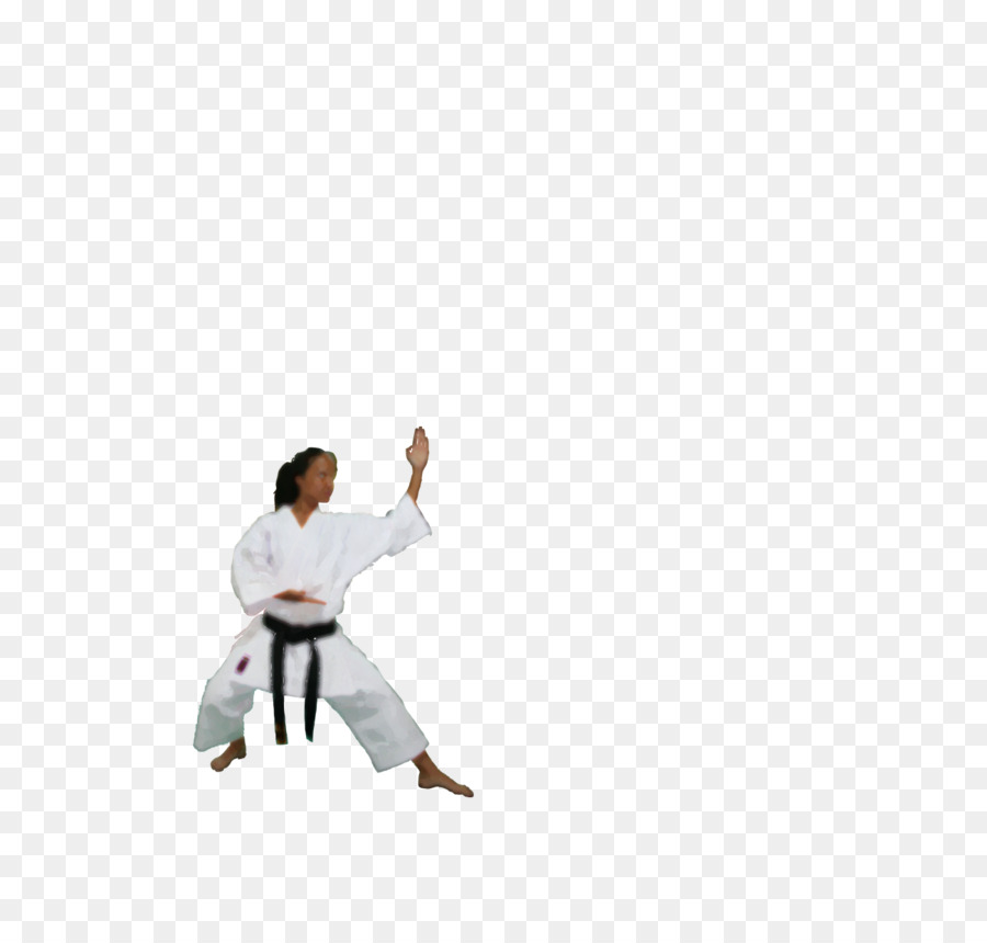 Karate，Spor PNG