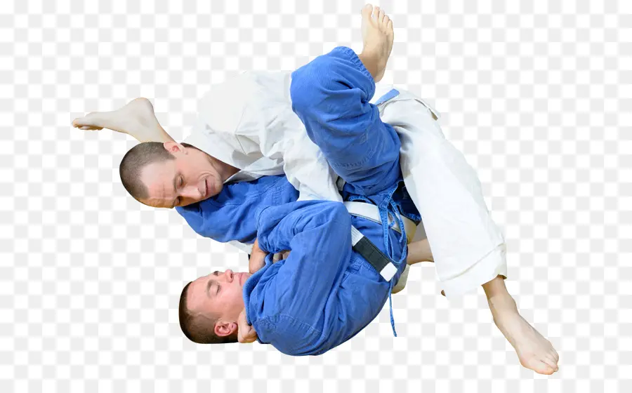 Brezilya Jiujitsu，Dövüş Sanatları PNG