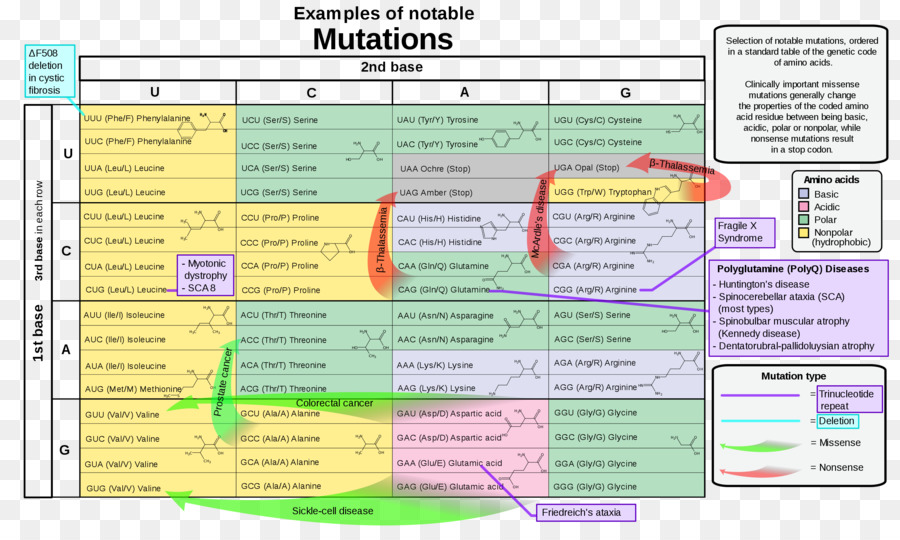 Mutasyon Tablosu，Genetik PNG