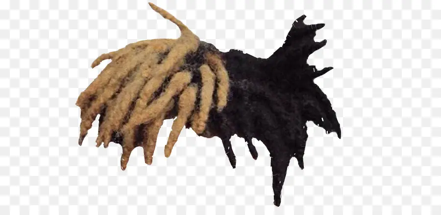 Rasta Kilitleri，Saç PNG