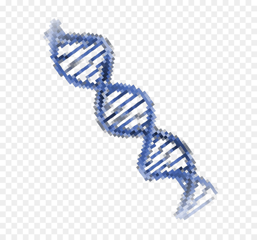 Dna Sarmalı，Genetik PNG