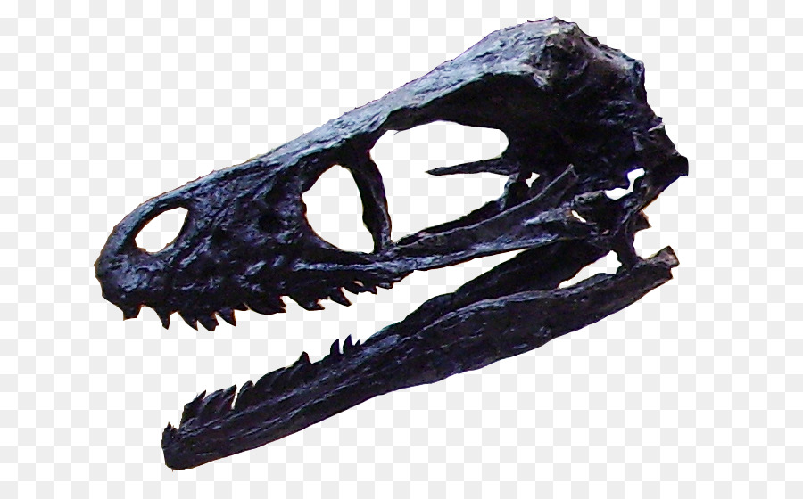 Bambiraptor，Geç Kretase PNG