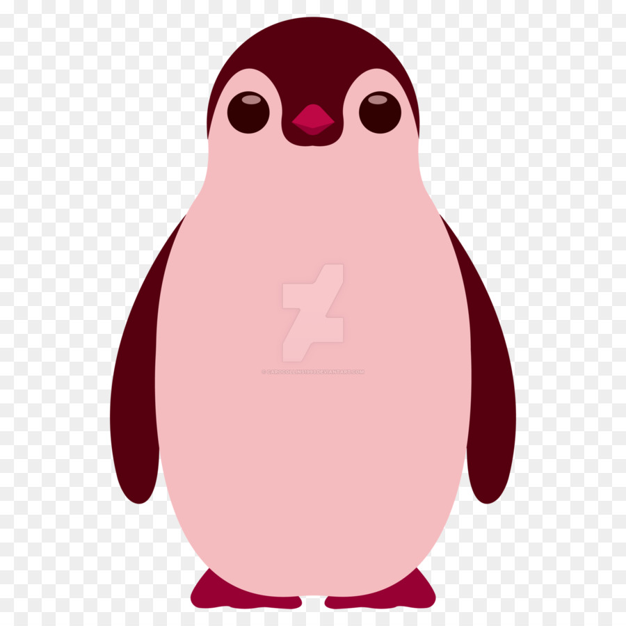 Kırmızı Penguen，Kuş PNG