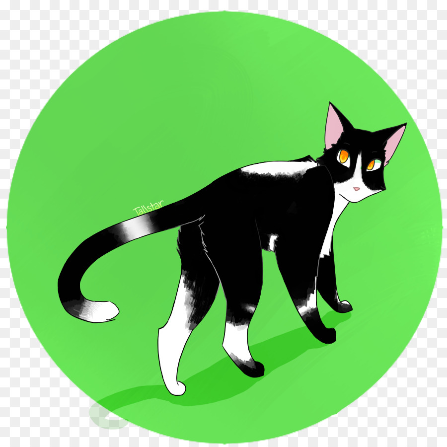 Siyah Kedi，Kedi PNG