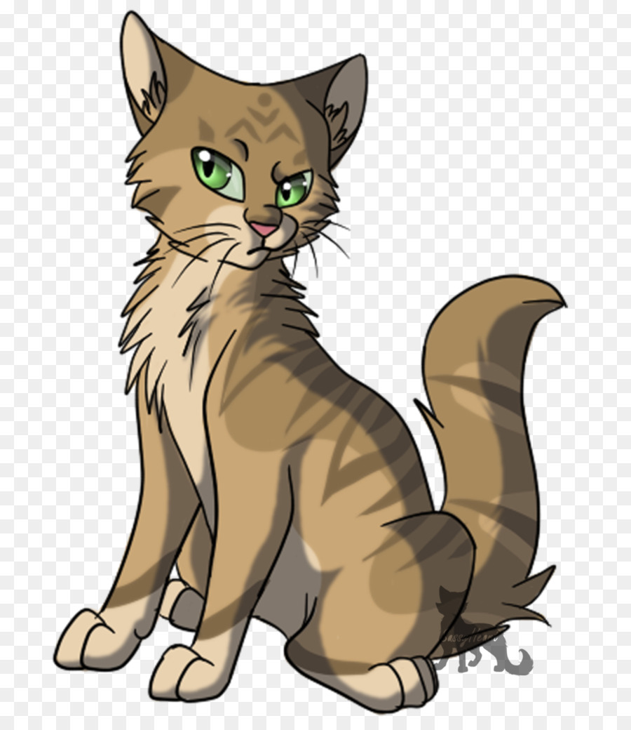 Kedi，Evcil Hayvan PNG