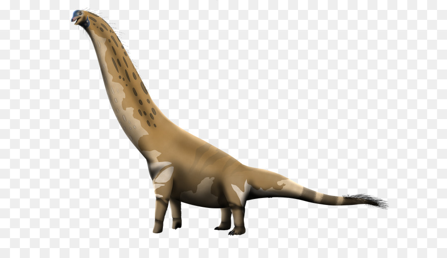 Brachiosaurus，Dinozor PNG