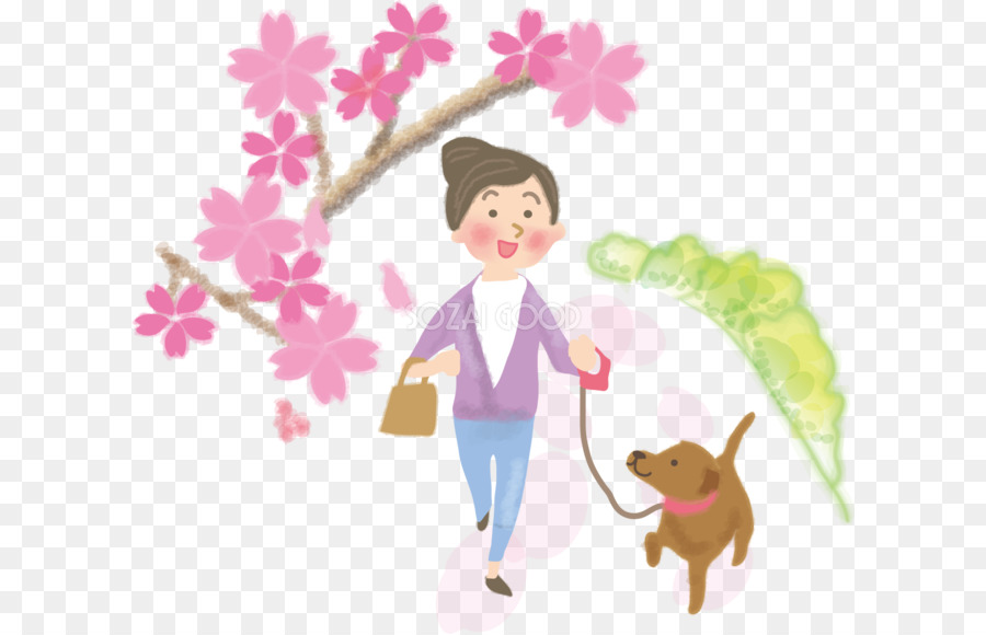 Hanami，Geziniyor PNG