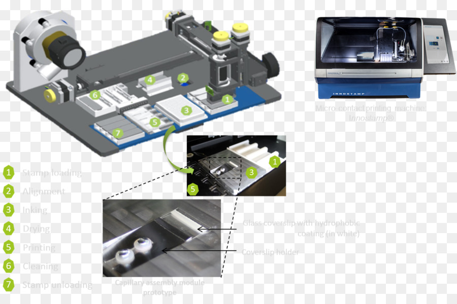 Microcontact Baskı，Pdms Damga PNG