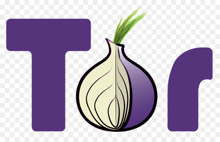 Tor Logosu，Soğan PNG