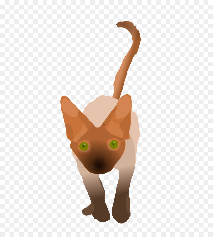 Kara Kedi，Yavru Kedi PNG