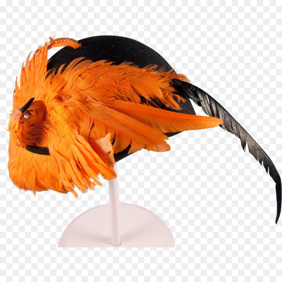 Kuş，şapka PNG