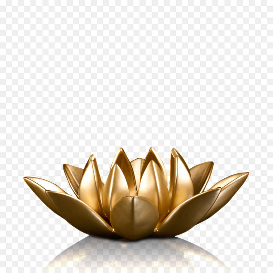 Lotus Mumu，Çiçek PNG