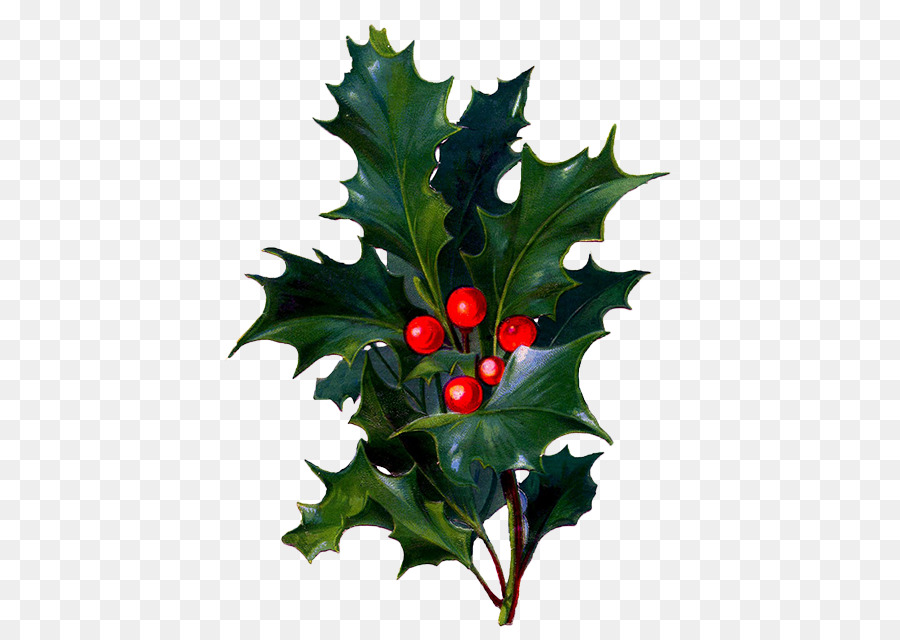 Kağıt，Noel PNG